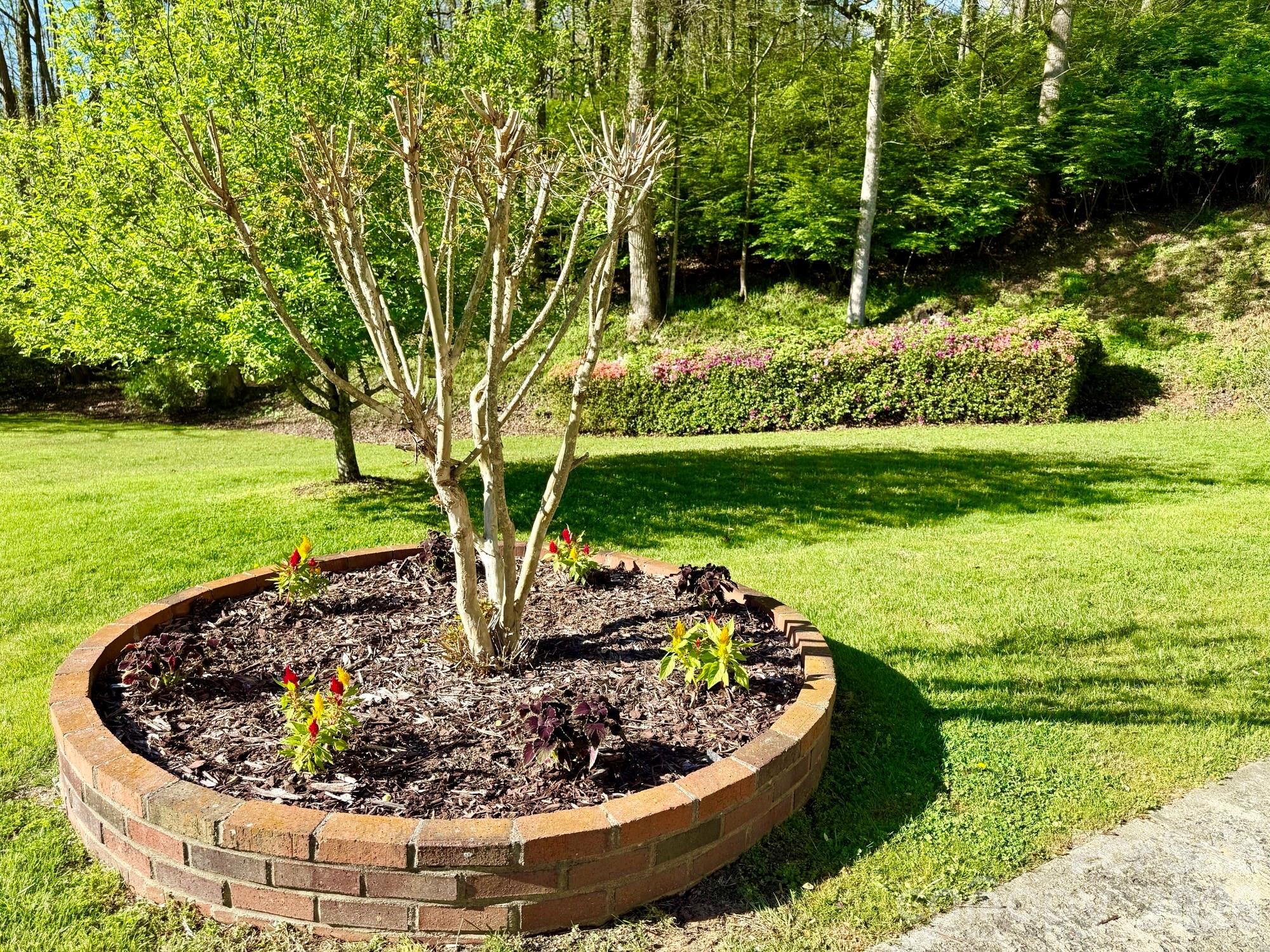 Barberry Heights - Residential
