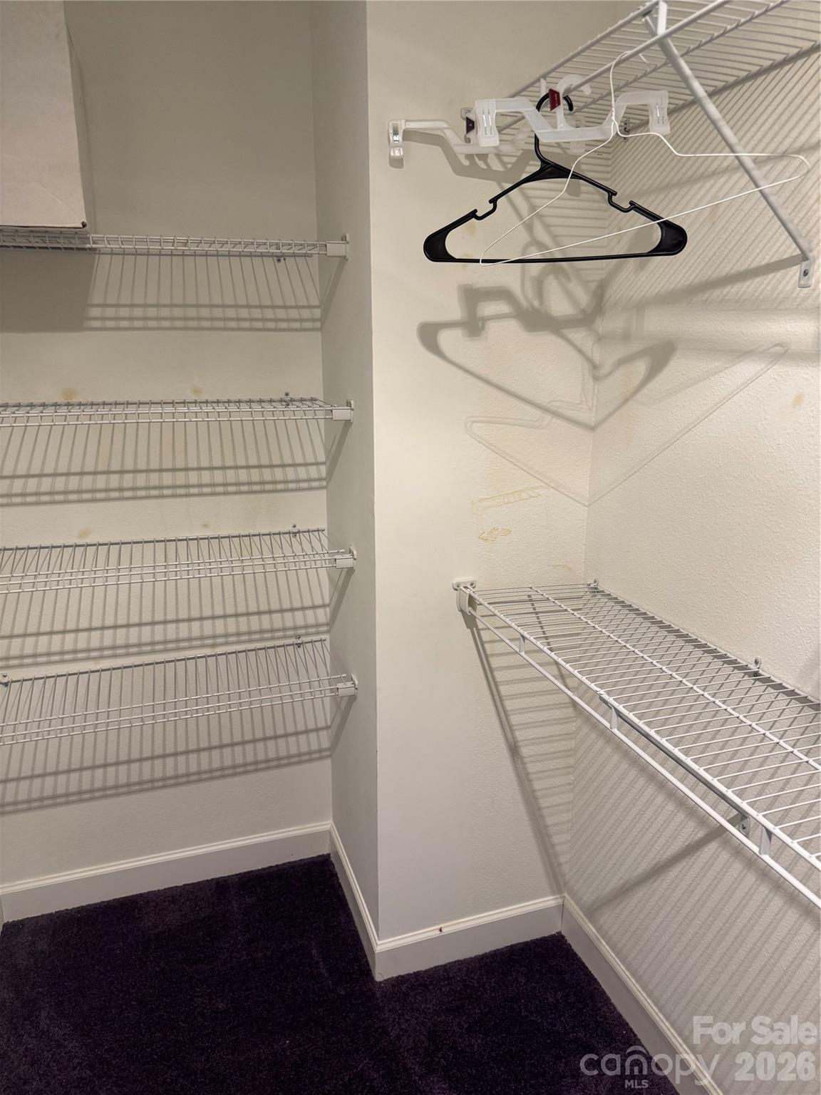 2629 Stream Bank Drive