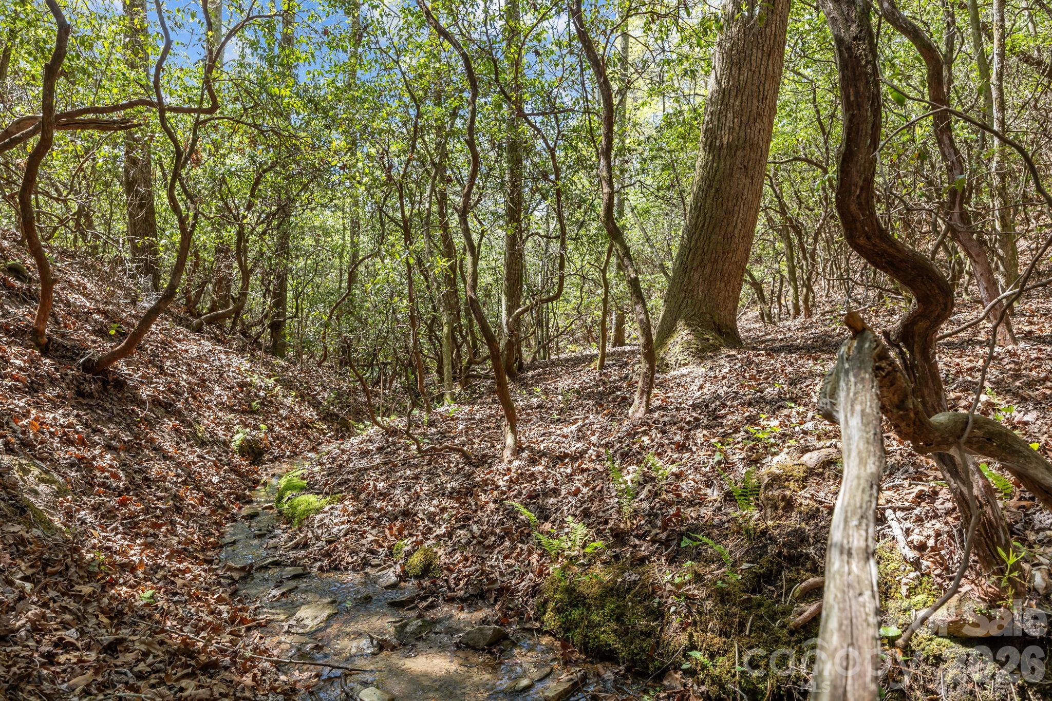 Bird Creek Estates - Residential