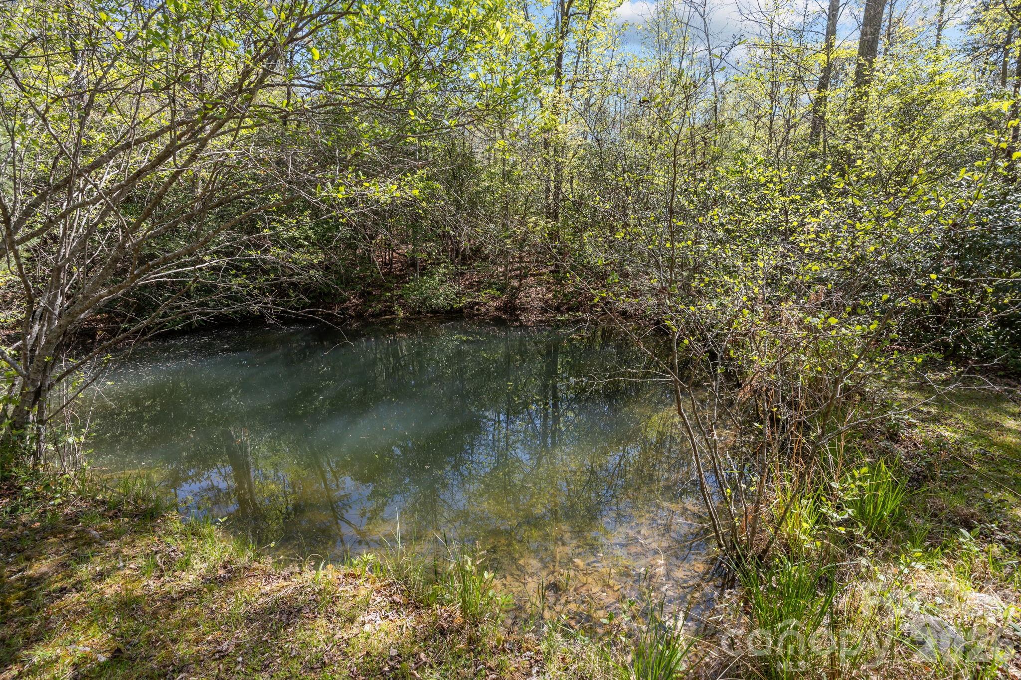 Bird Creek Estates - Residential