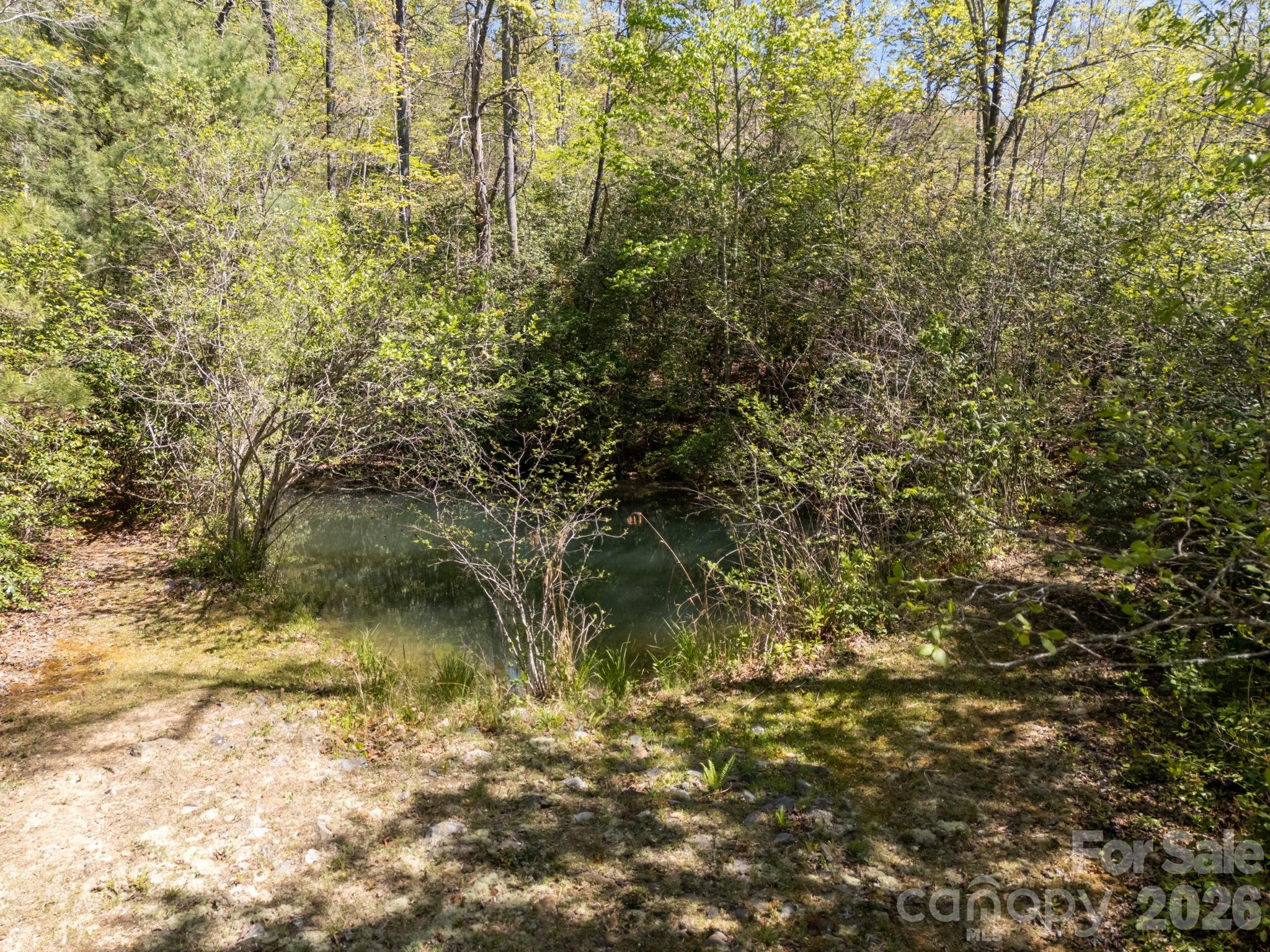 Bird Creek Estates - Residential