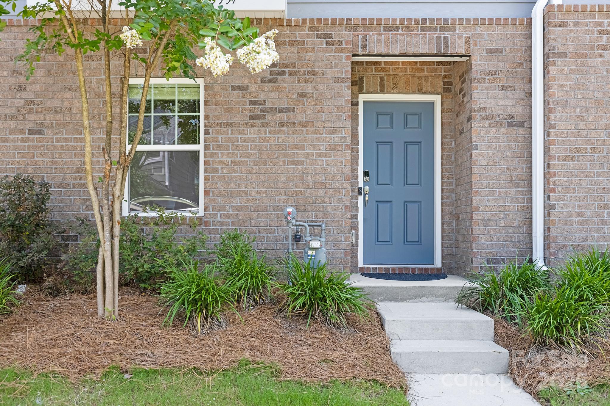 3537 Auburn Curb Road