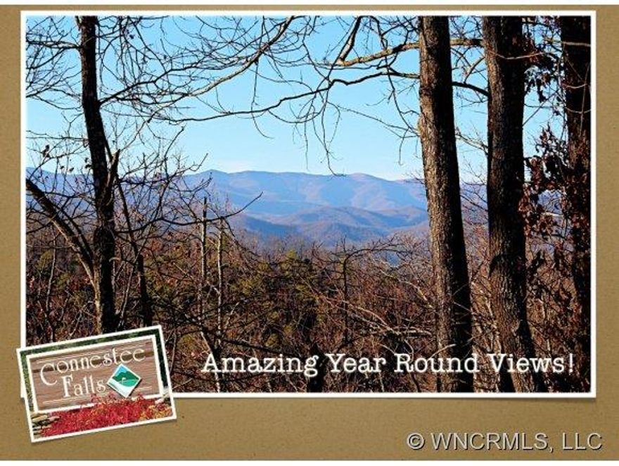 Fabulous view lot on one of the most coveted streets in Connestee Falls.  No hype here...there are views all the way to the Blue Ridge Parkway! Enjoy everything Connestee has to offer...golf, tennis, hiking trails, 4 lakes, and a mountain lifestyle that will send your senses into overdrive!