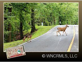 Connestee Falls - Land
