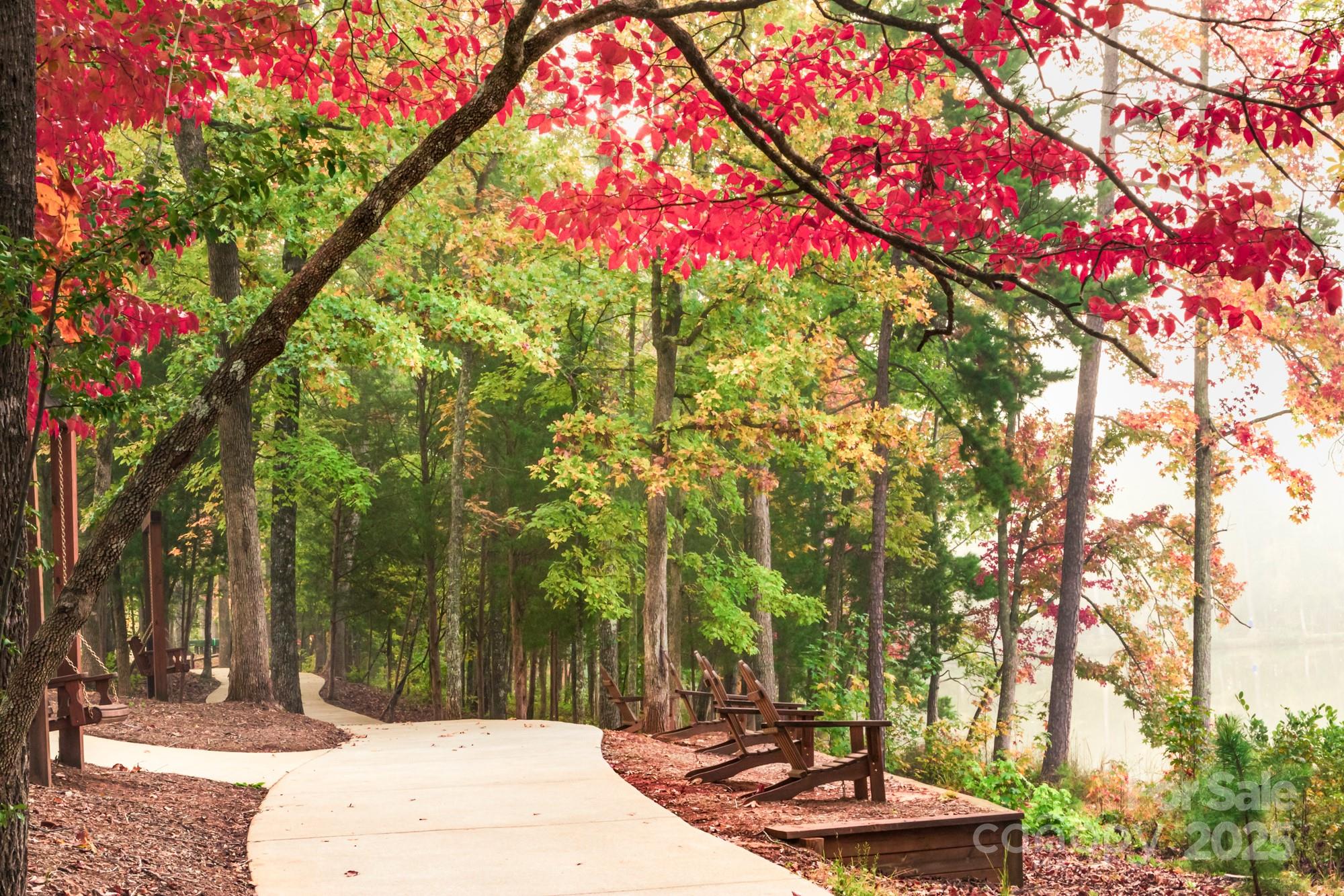 Tree Tops - Residential