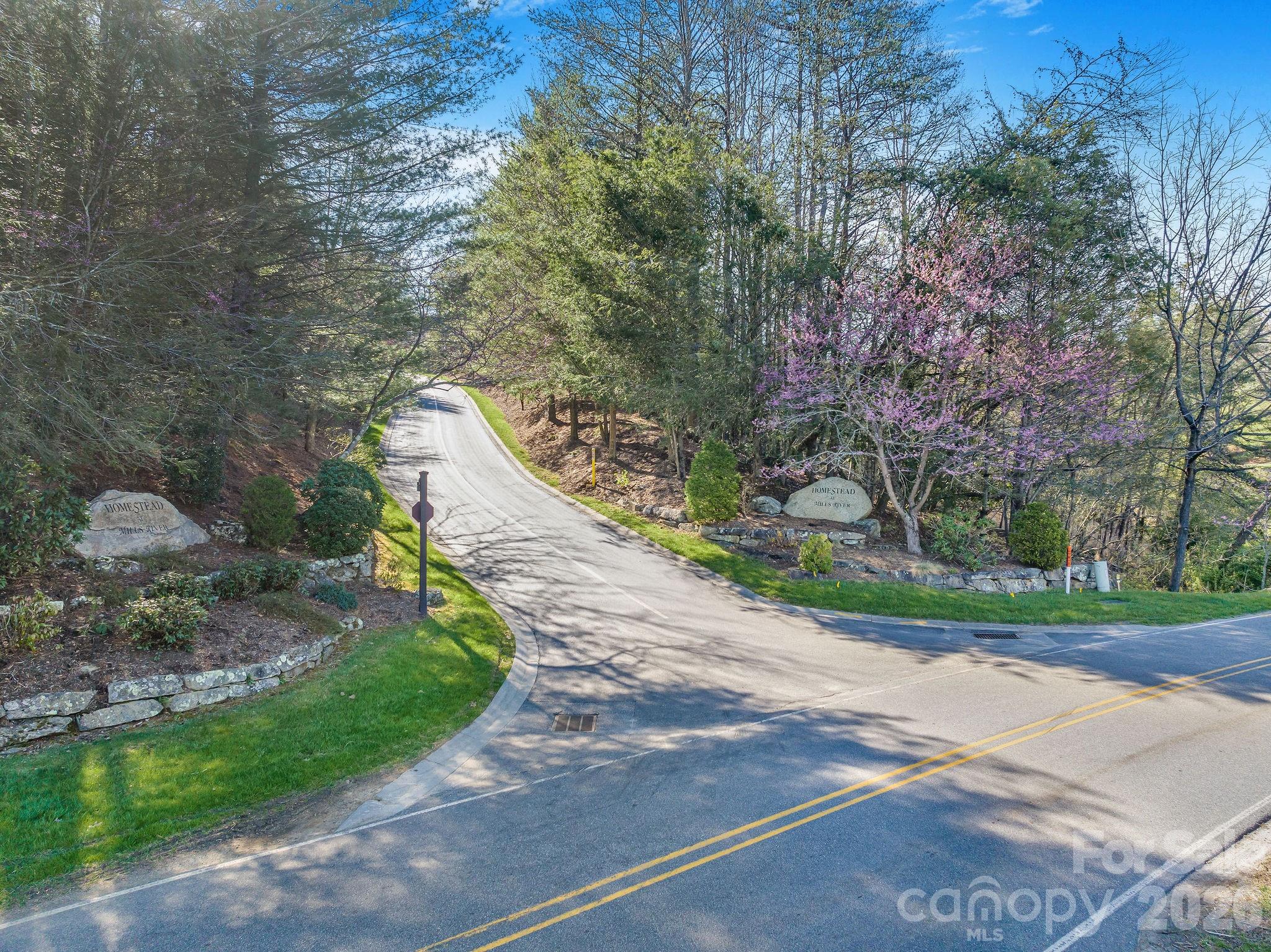 The Homestead At Mills River - Land