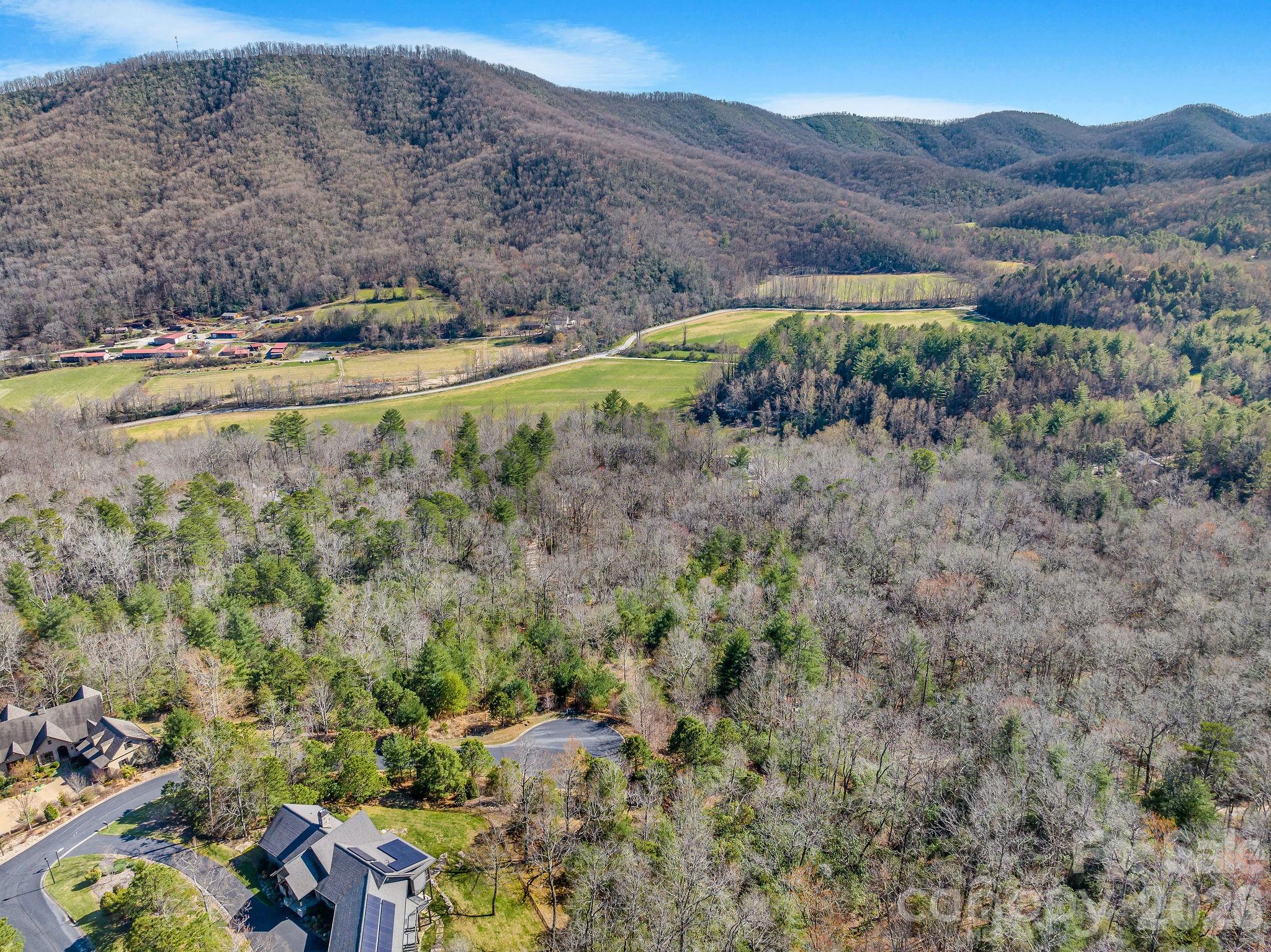 The Homestead At Mills River - Land