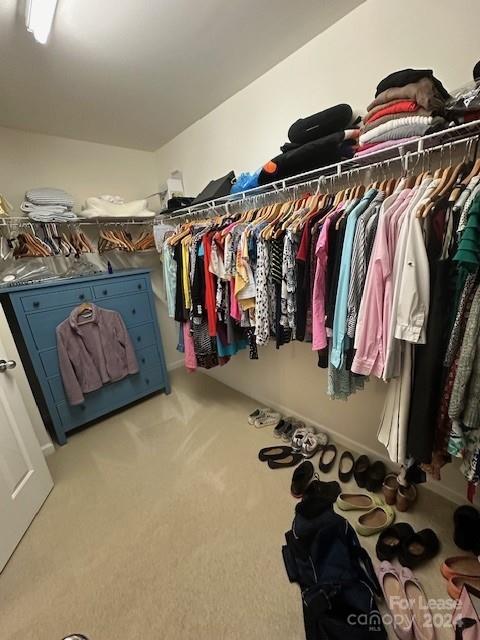 St Johns Forest - Residential Lease