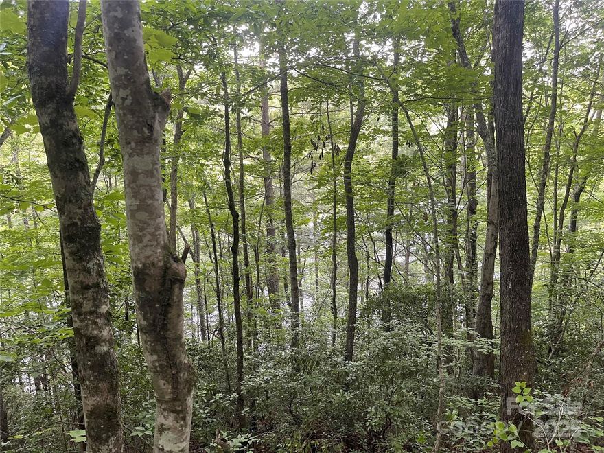 Life should always be about having choices, this large, unrestricted piece of land has varied build possibilities. One is lake front on Cedar Cliff Lake, densely wooded and sloped, private and easy access by a well-maintained private road. Another is lake view, from the knob, the original old homeplace, on the right off Canada Road. The third buildable area is on the left from Canada Road, an acre area that was the flat garden spot.  All sold together, near Bear and Wolf Lakes. Short drive to Cullowhee, Sylva, and Cashiers.