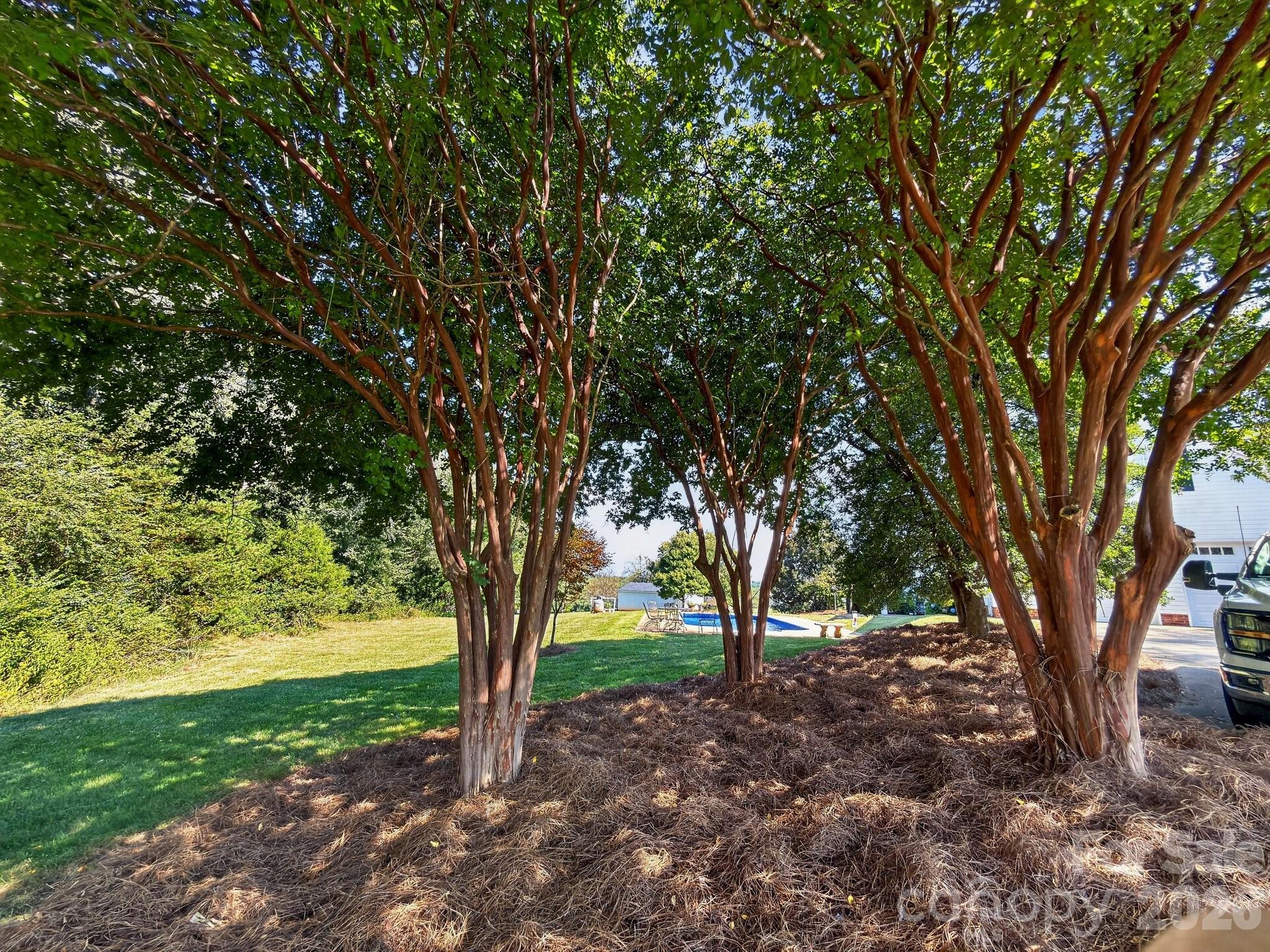 1186 Morningstar Lake Road