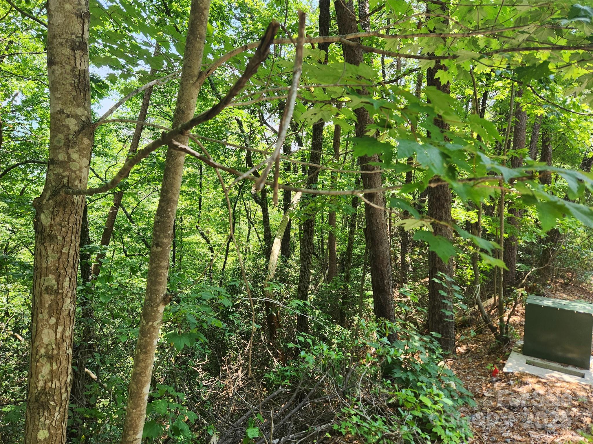 Rumbling Bald on Lake Lure - Land