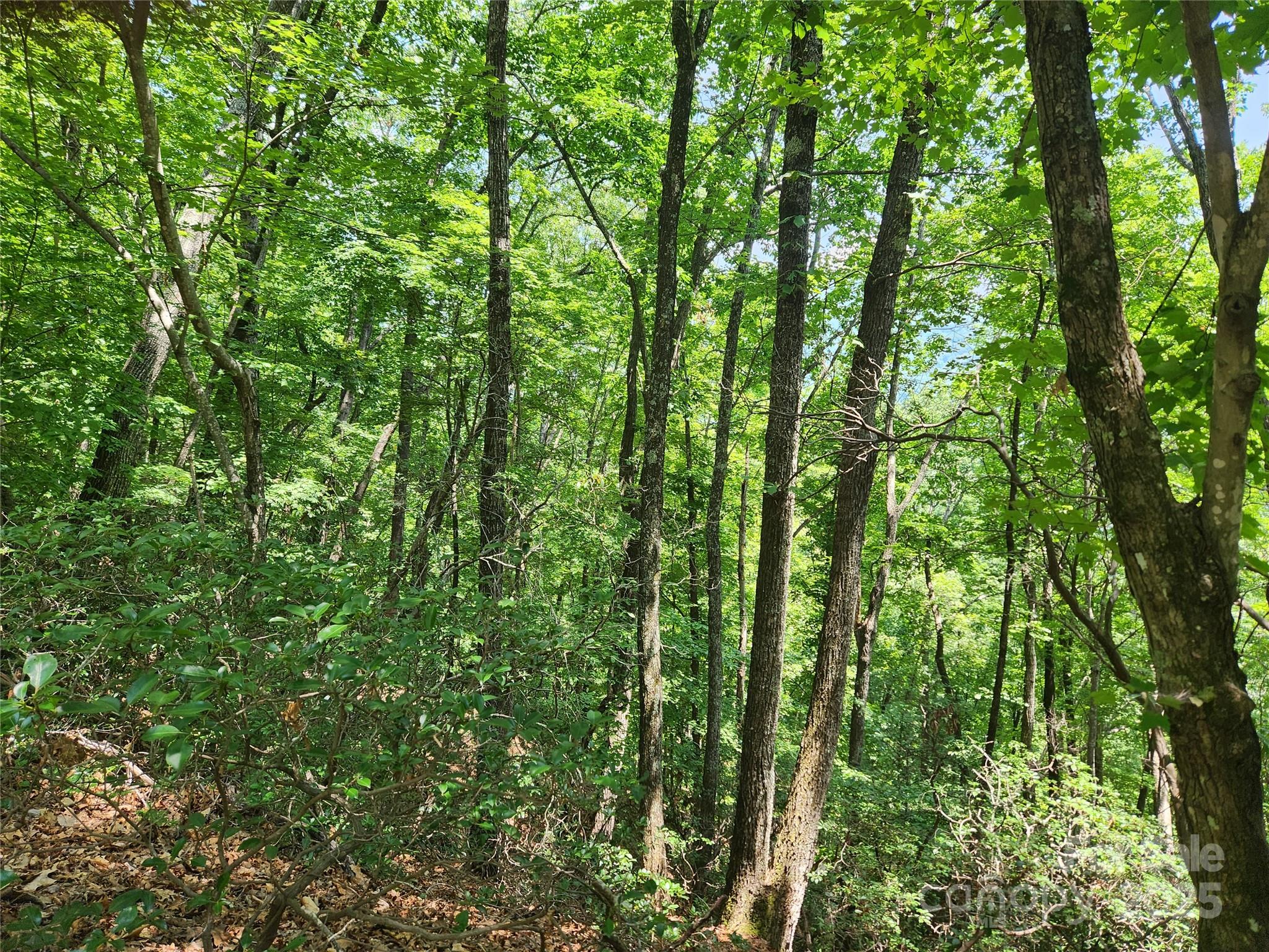 Lot 117, 118, & 132 Summit Court