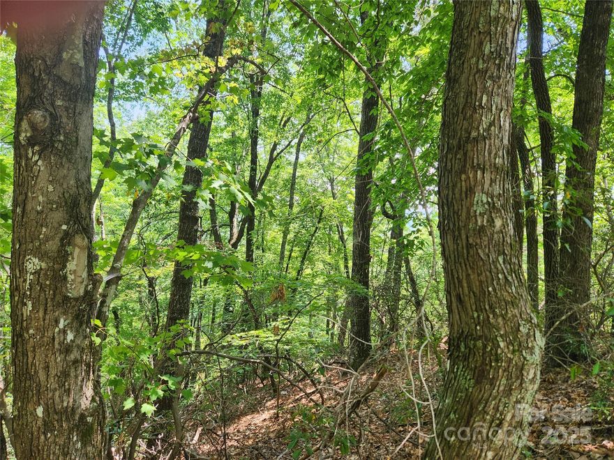 Great views possible on this extra large estate lot.  Property appears to have two possible building sites, both of which may allow year-round mountain views.  Wonderful private setting.  Paved road frontage.  Enjoy amenities like the private beach, Wellness Center, two championship golf courses, and a variety of activities year-round at our restaurants and other venues. The approximate 2.85 acre parcel consists of three lots (Lot 117, 118, and 132), which are owned by the POA and that will be surveyed as one property at or before closing by the seller.  Parcel has access to high-speed fiber optic internet and underground utilities.