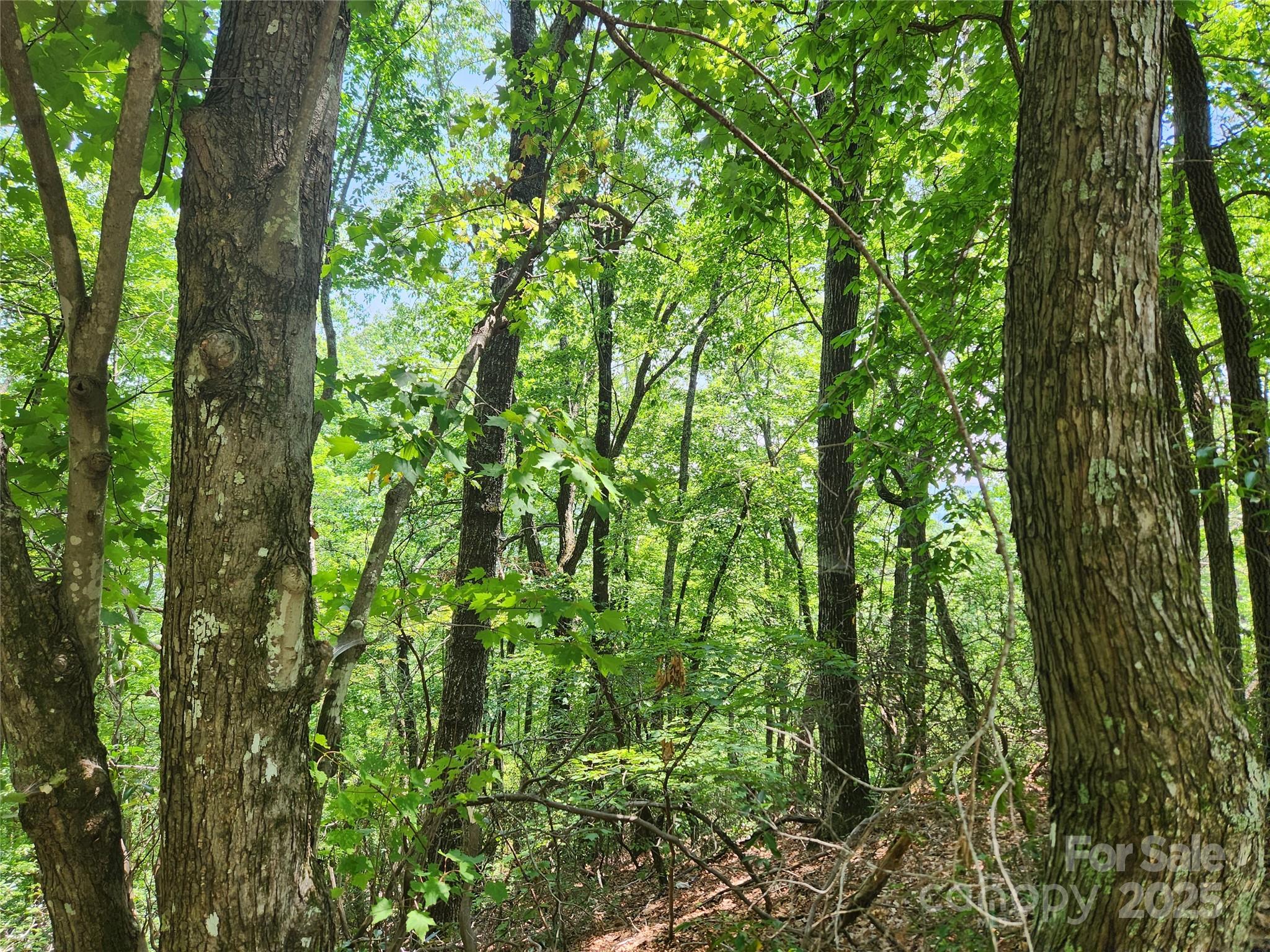 Lot 117, 118, & 132 Summit Court