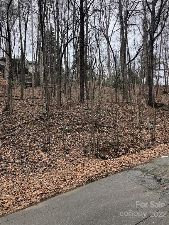 Rumbling Bald on Lake Lure - Land
