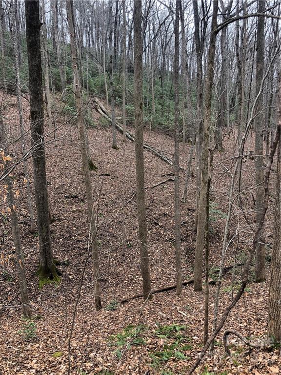 Rumbling Bald on Lake Lure - Land
