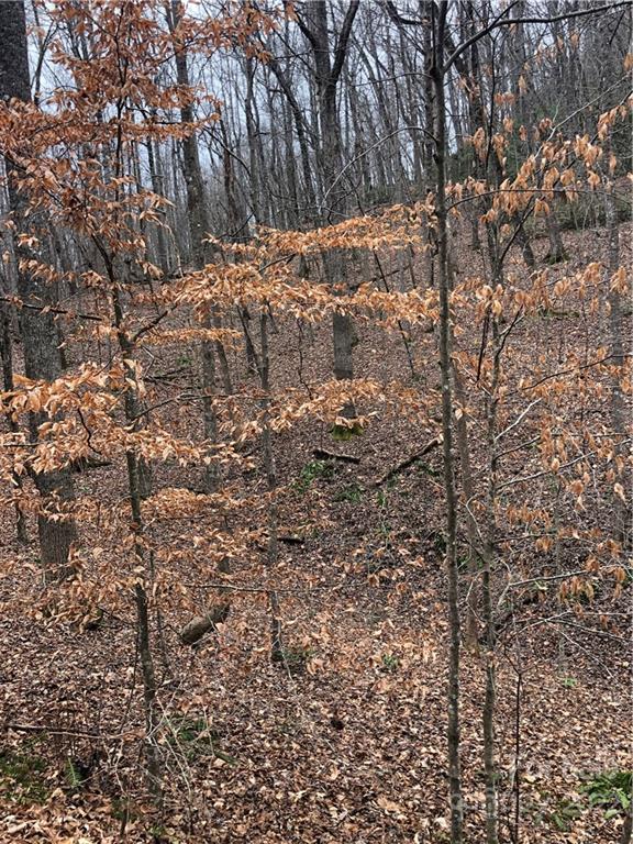 Rumbling Bald on Lake Lure - Land