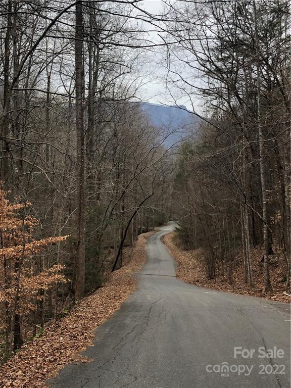 Rumbling Bald on Lake Lure - Land