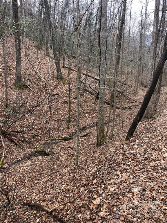 Rumbling Bald on Lake Lure - Land
