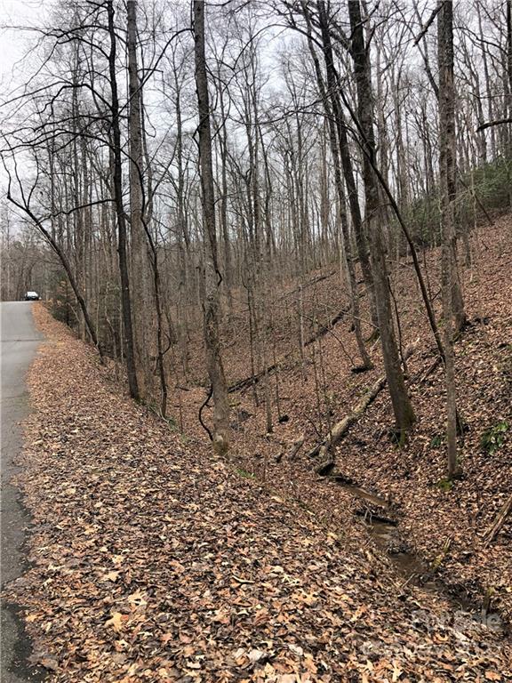 Rumbling Bald on Lake Lure - Land