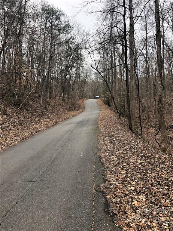 Rumbling Bald on Lake Lure - Land