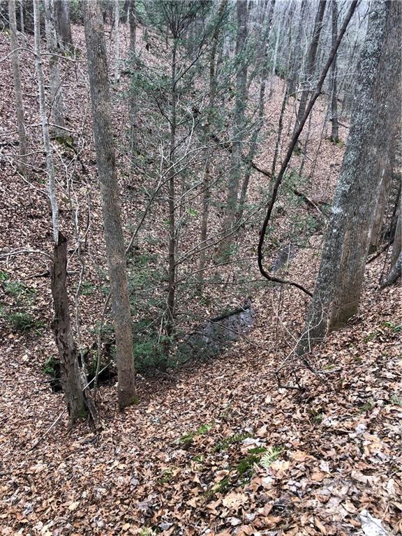 Rumbling Bald on Lake Lure - Land