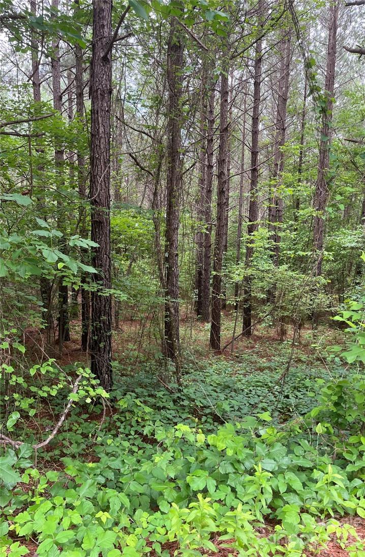 Clearwater Creek - Land