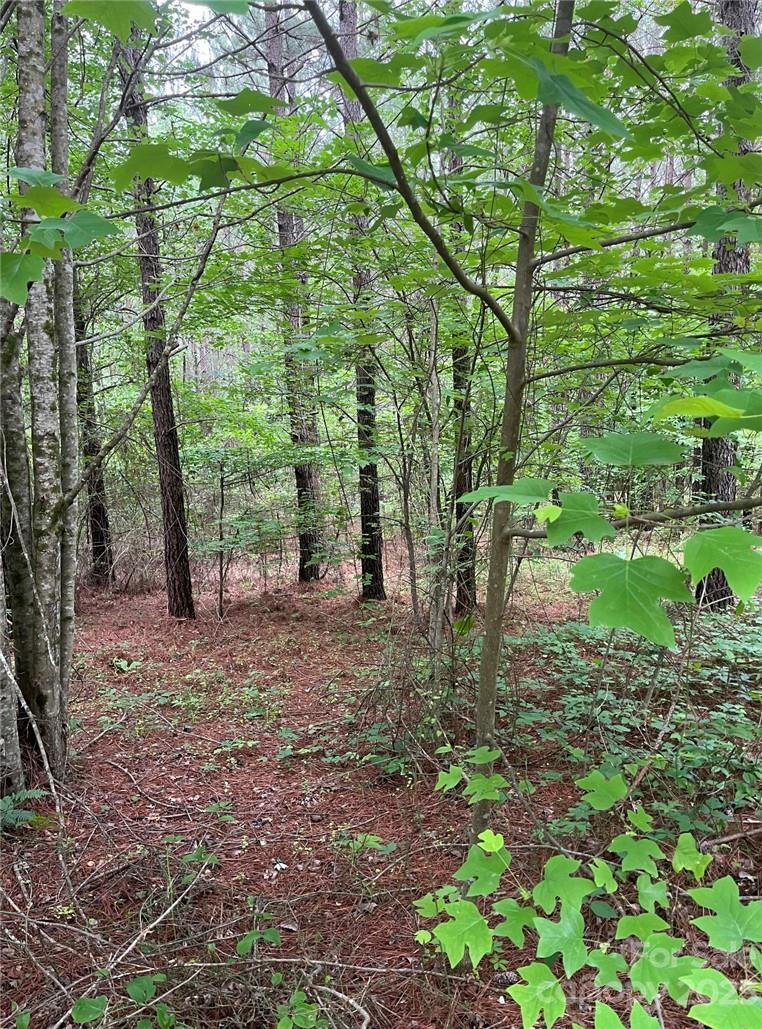 Clearwater Creek - Land