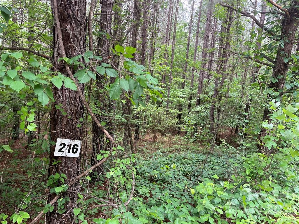 Clearwater Creek - Land