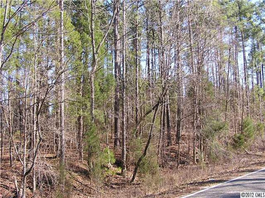 Ideal piece of land to build your dream home out in the country. This tract has plenty of road frontage and the topo ranges from flat in the front and rolls down towards the back. The land has large hardwoods on the Northern and back property line and mature pines on the Sounthern front property line. This tract is part of a larger 302 acre tract that is for sale and is surrounded by like-in-kind.