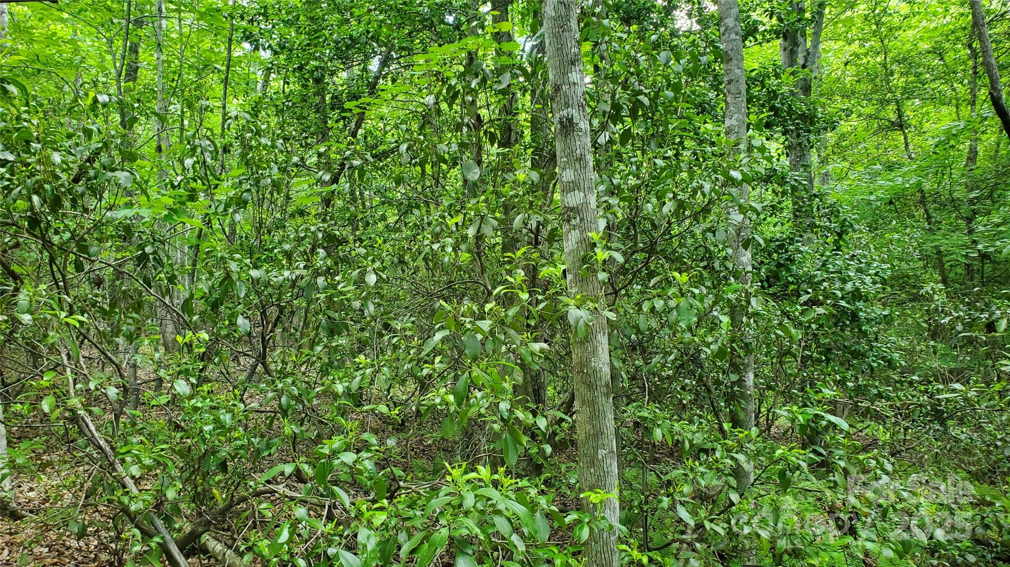 Equestrian Estates - Land