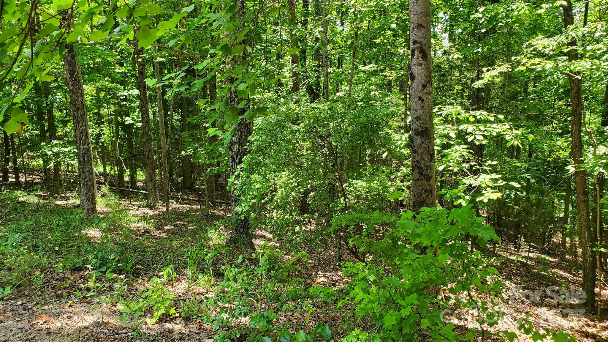 Equestrian Estates - Land