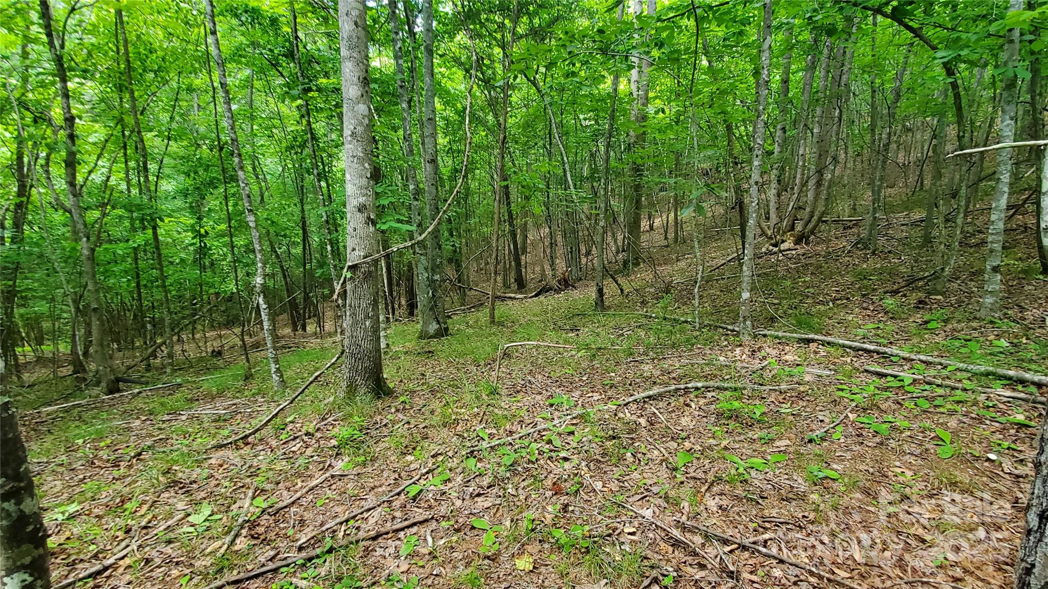 Equestrian Estates - Land