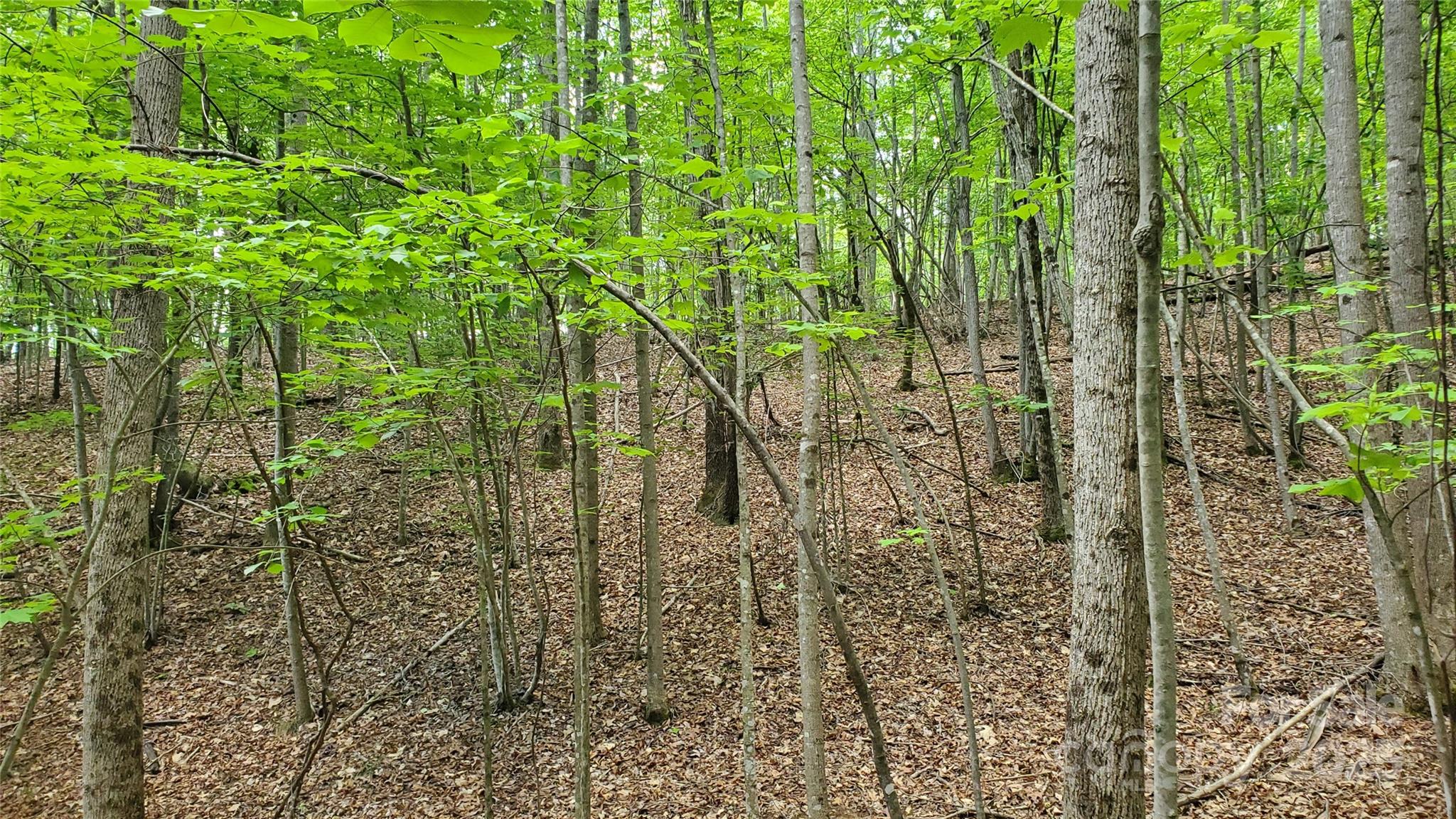 Equestrian Estates - Land