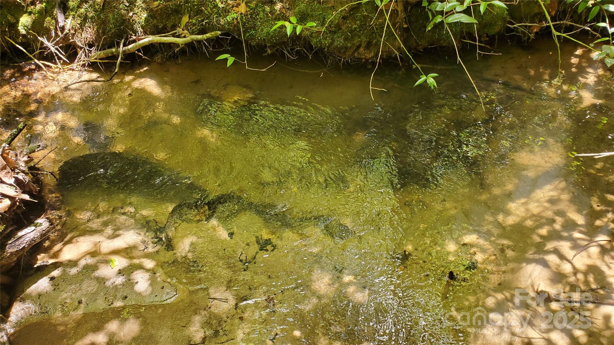 Equestrian Estates - Land