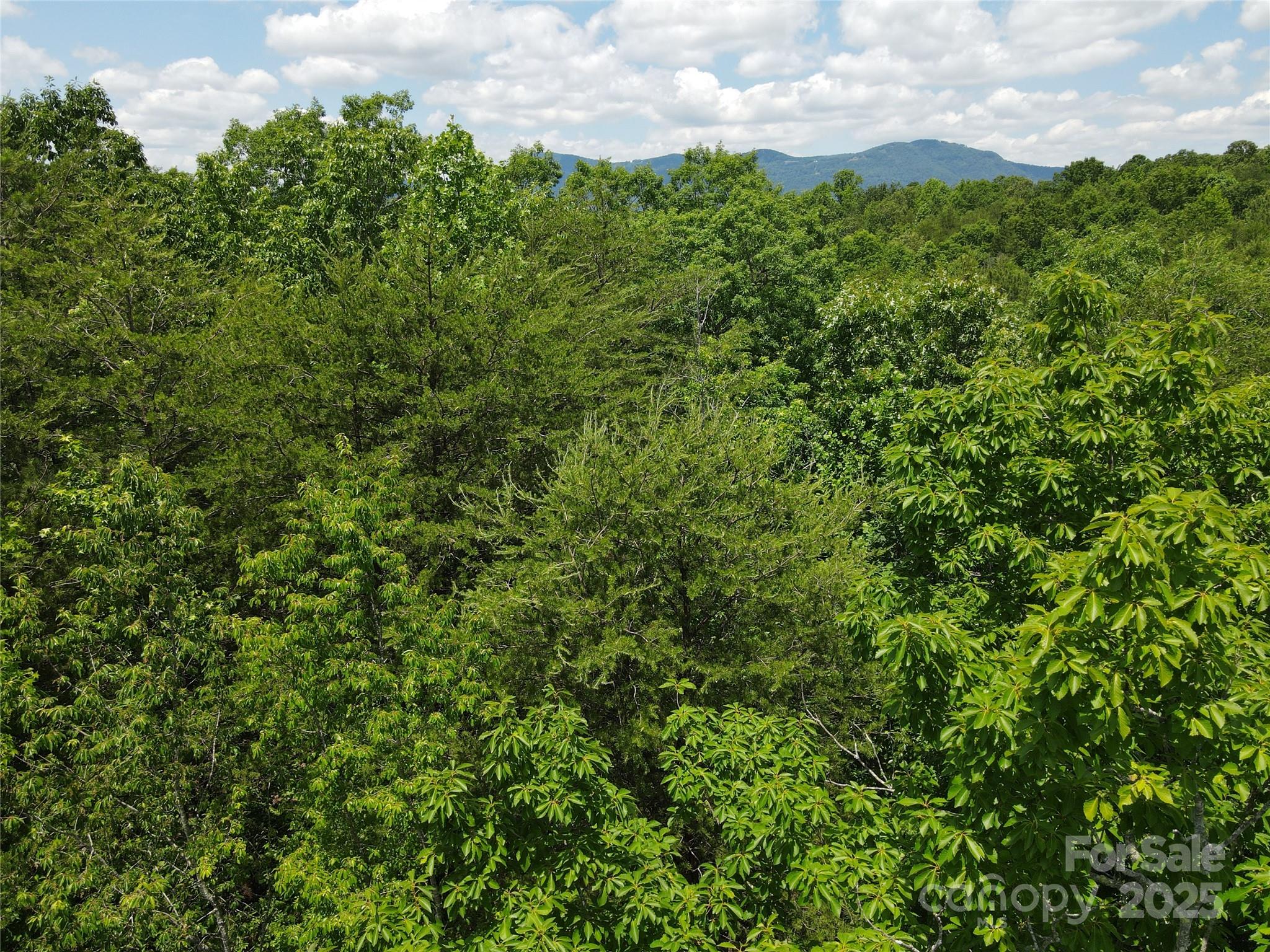 Equestrian Estates - Land