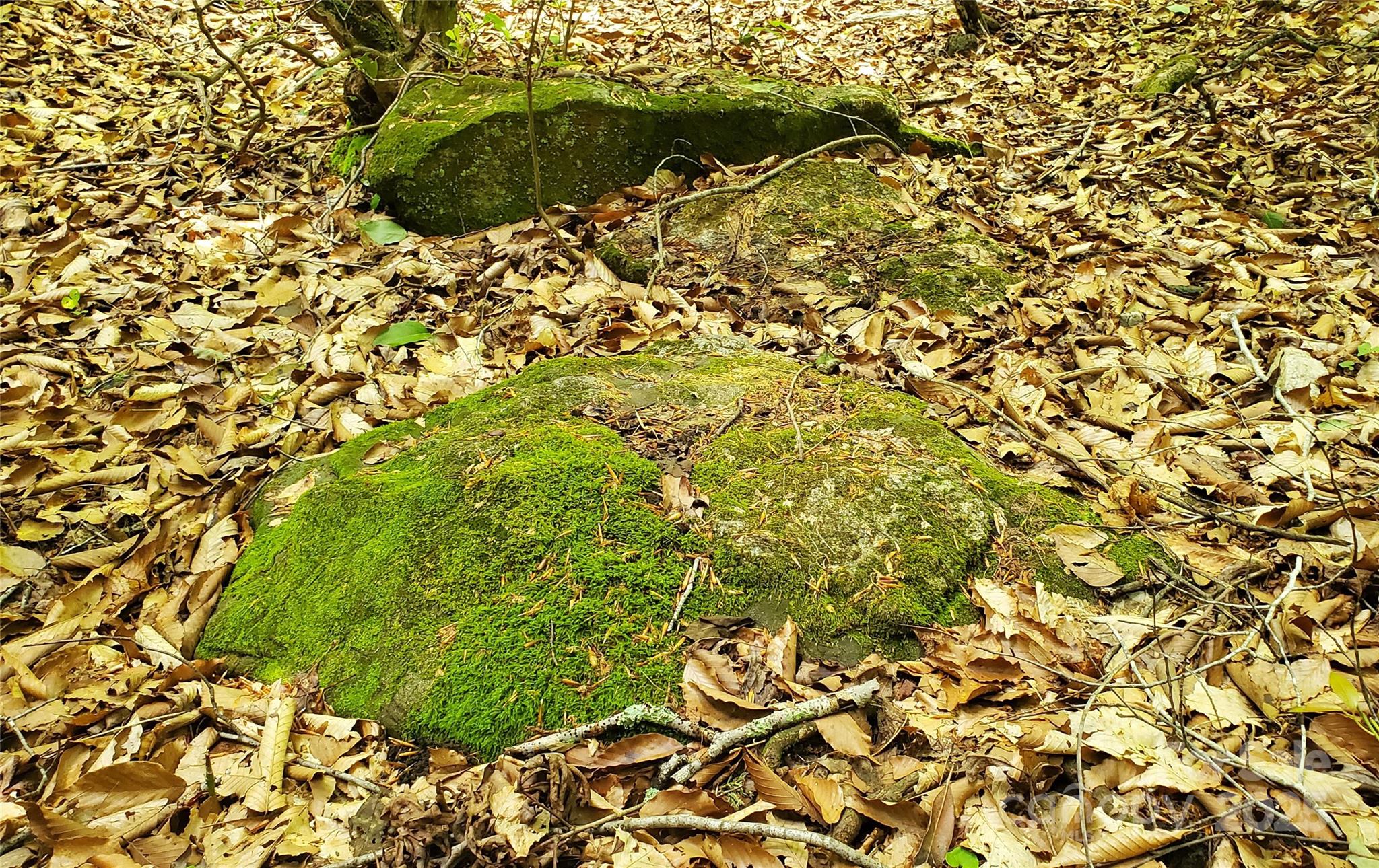 Equestrian Estates - Land