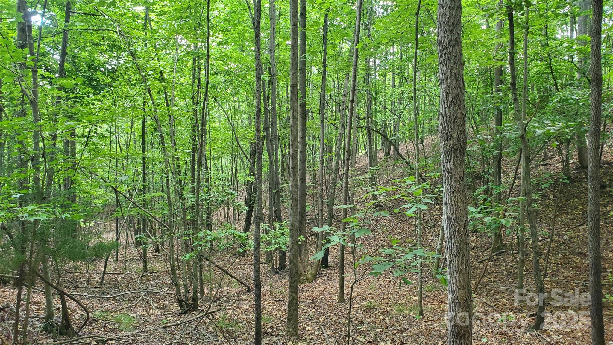 Equestrian Estates - Land