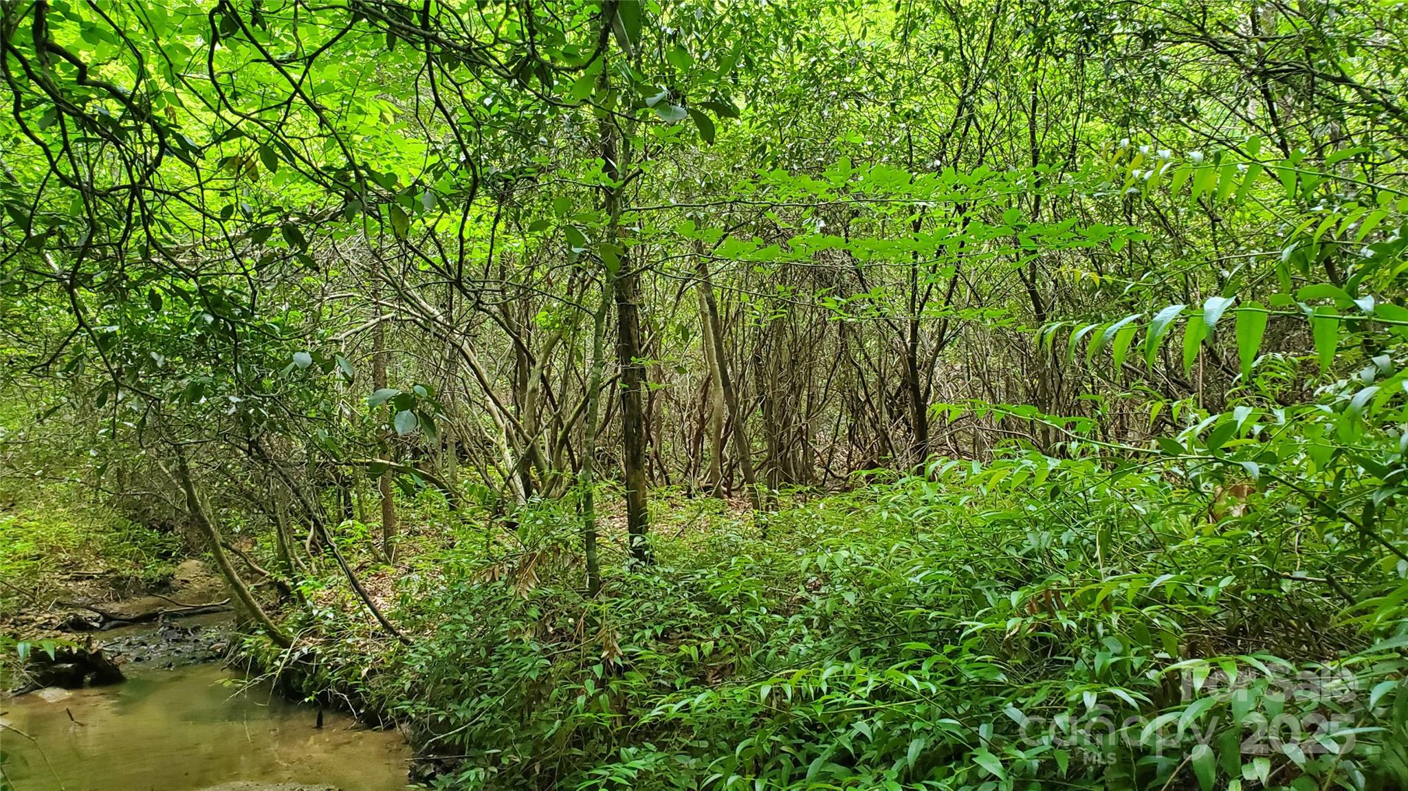 Equestrian Estates - Land