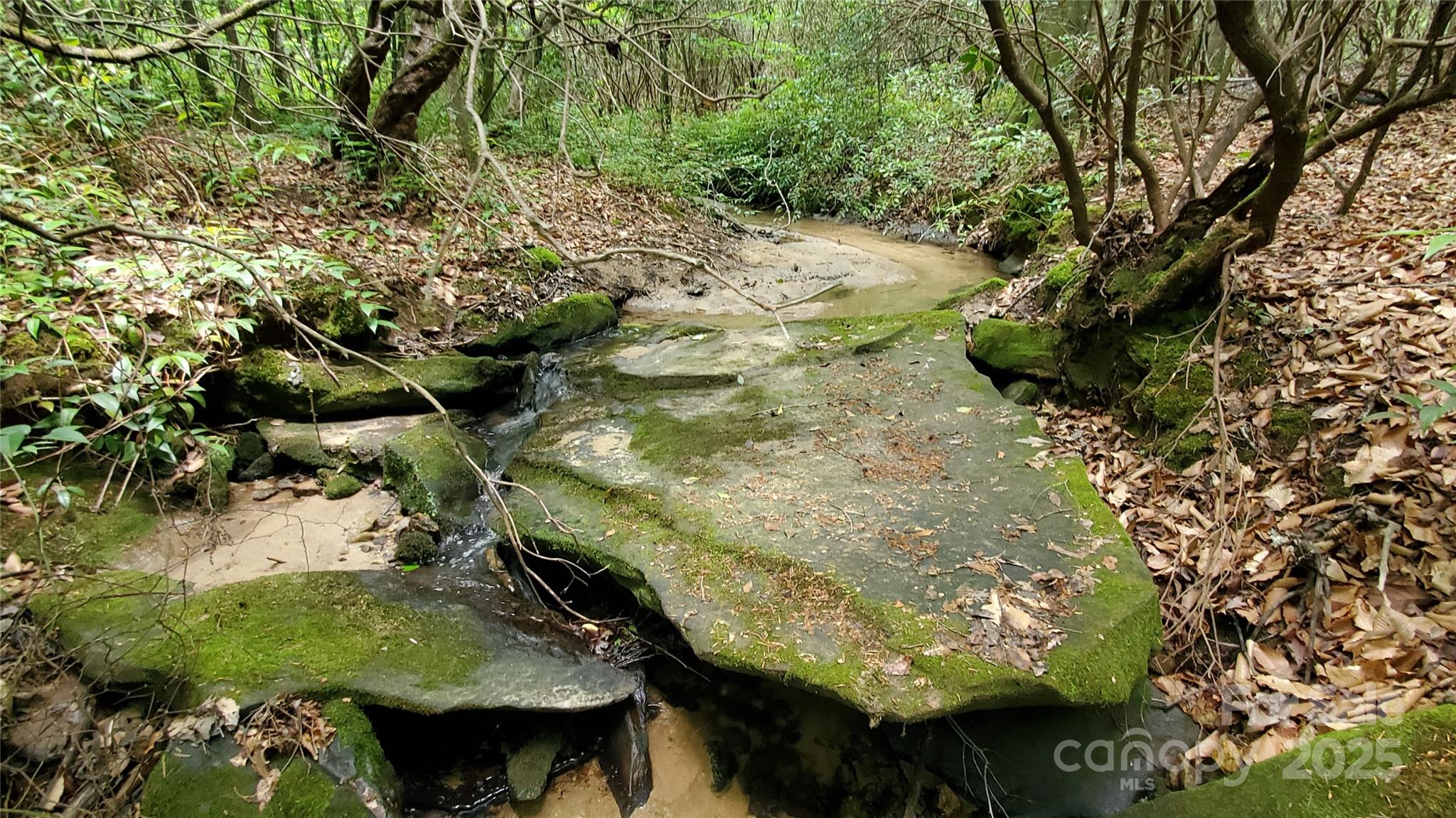 Equestrian Estates - Land