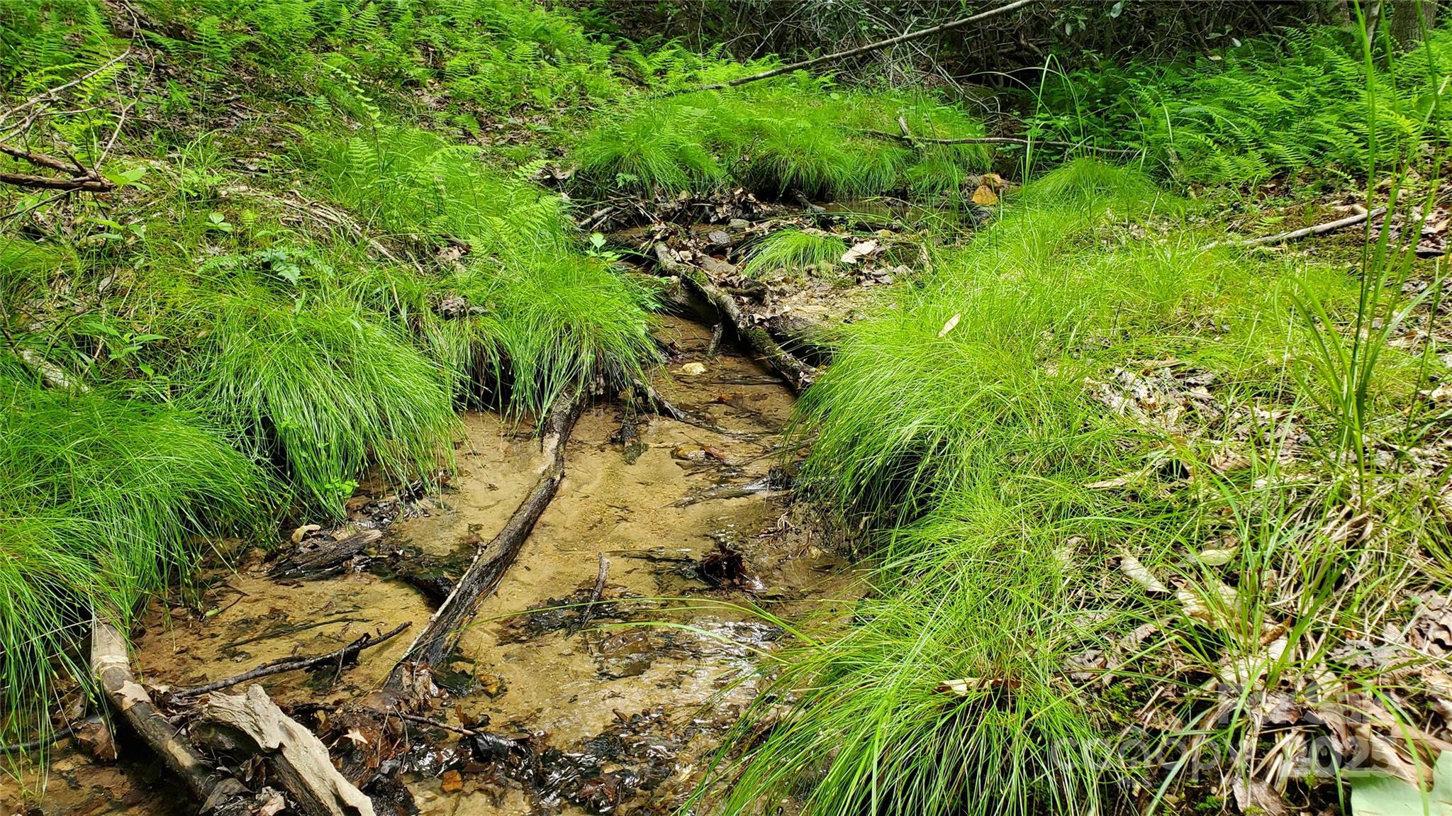 Equestrian Estates - Land