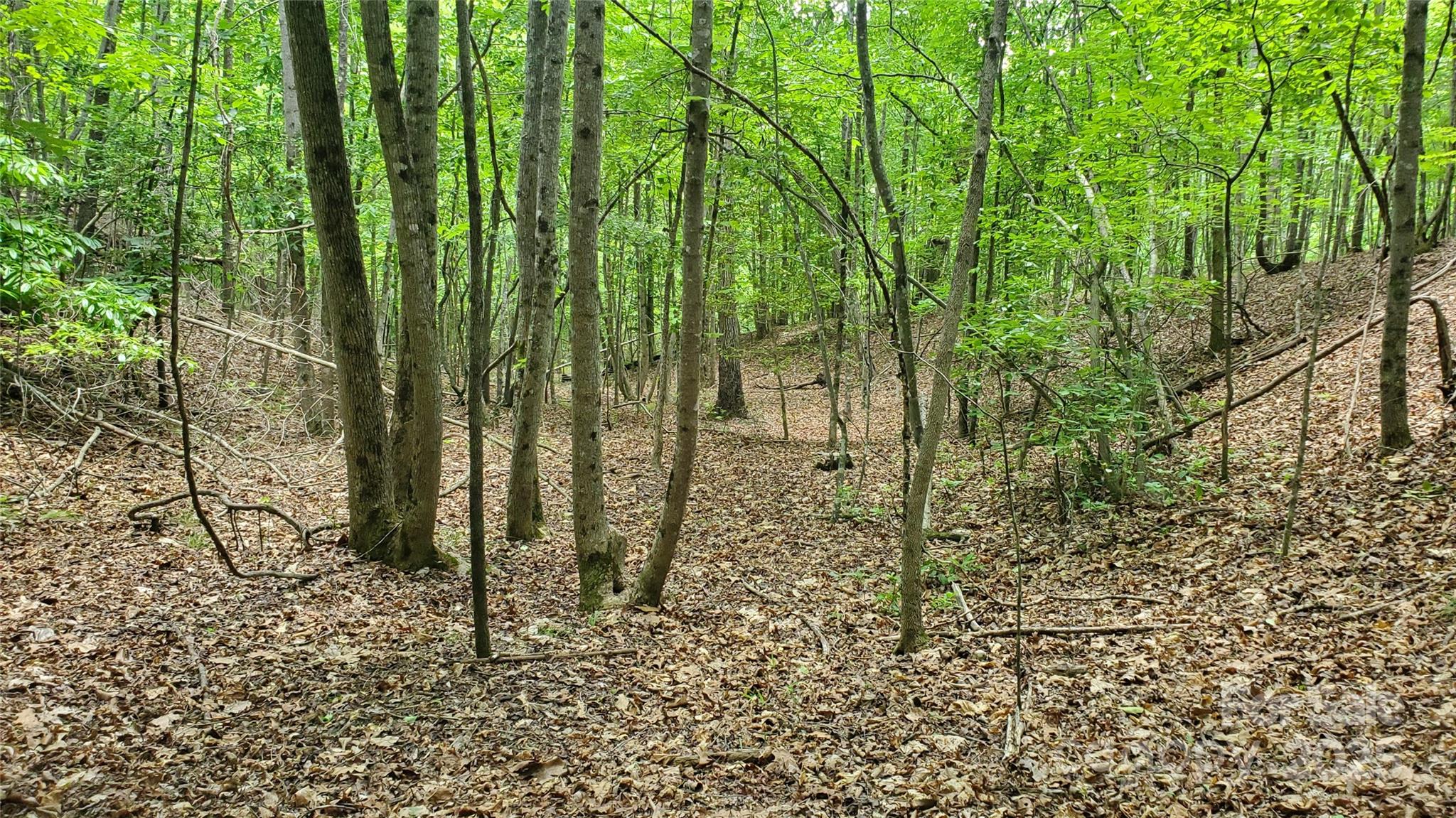 Equestrian Estates - Land