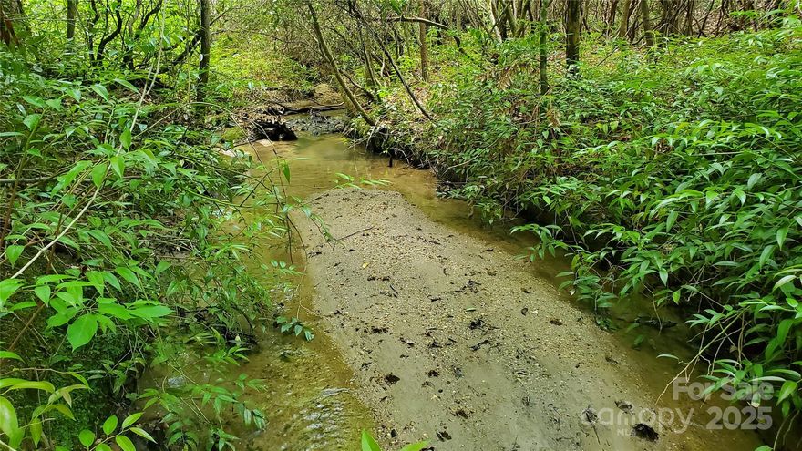 Equestrian Estates.! Private and very buildable.! Meandering creek and a full running spring run on this lot that is almost ten acres of beautiful woodlands. Cul-de-sac lot, at the end of the road in horse country.! Pass by picturesque pastures and barns on the way to and from home every day.! Tryon International Equestrian Center just a short ways down the road.! Underground utilities throughout the entire development. Large deciduous trees and lots of Mountain Laurel as well. Short drive to the shoppes, restaurants and services of Columbus and Tryon, and easy access to the interstate to Asheville and Charlotte. This land will be a great place to settle in and enjoy the foothills of the Appalachians and the "Thermal Belt" of Polk County North Carolina.!