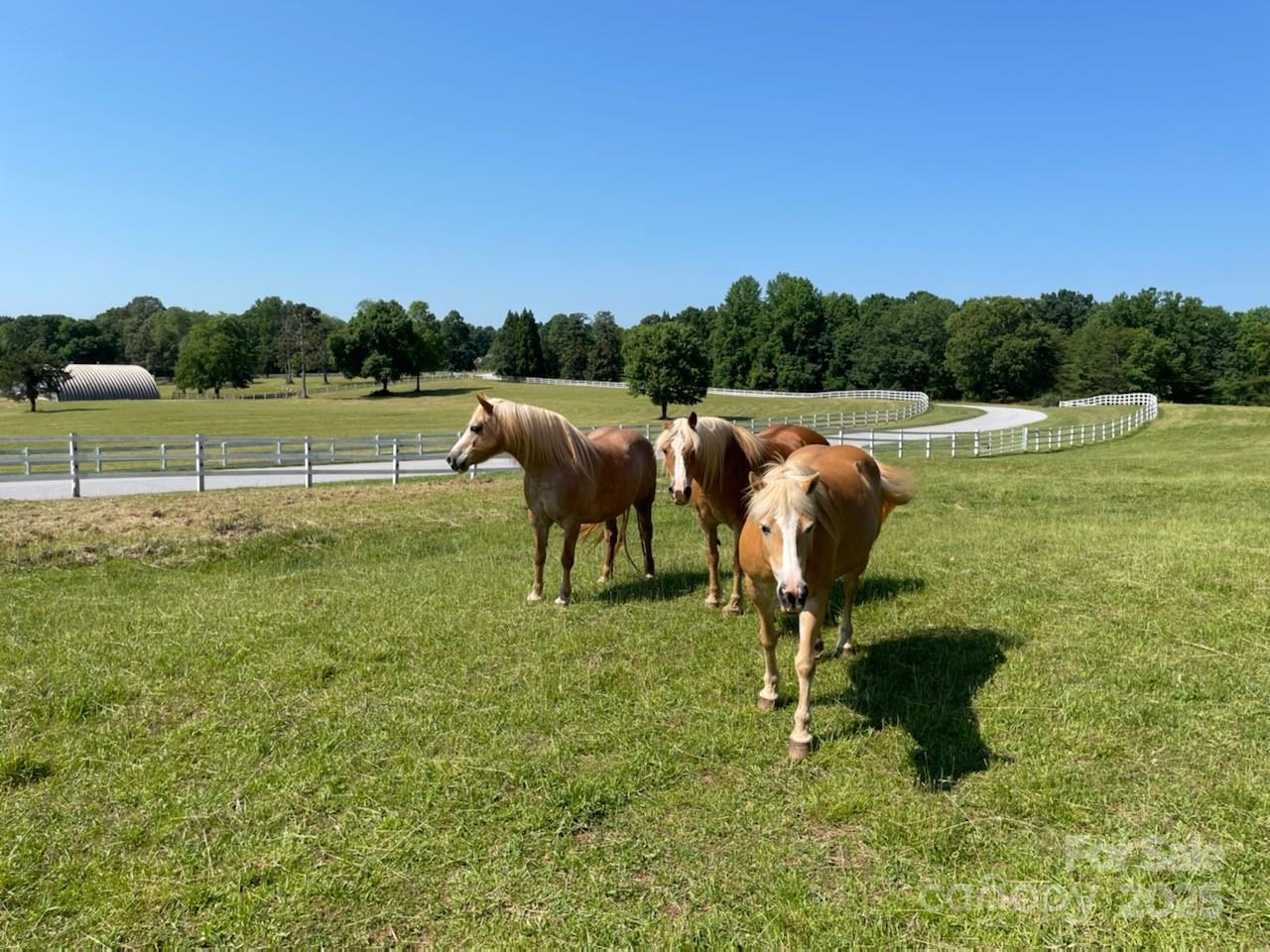 Equestrian Estates - Land