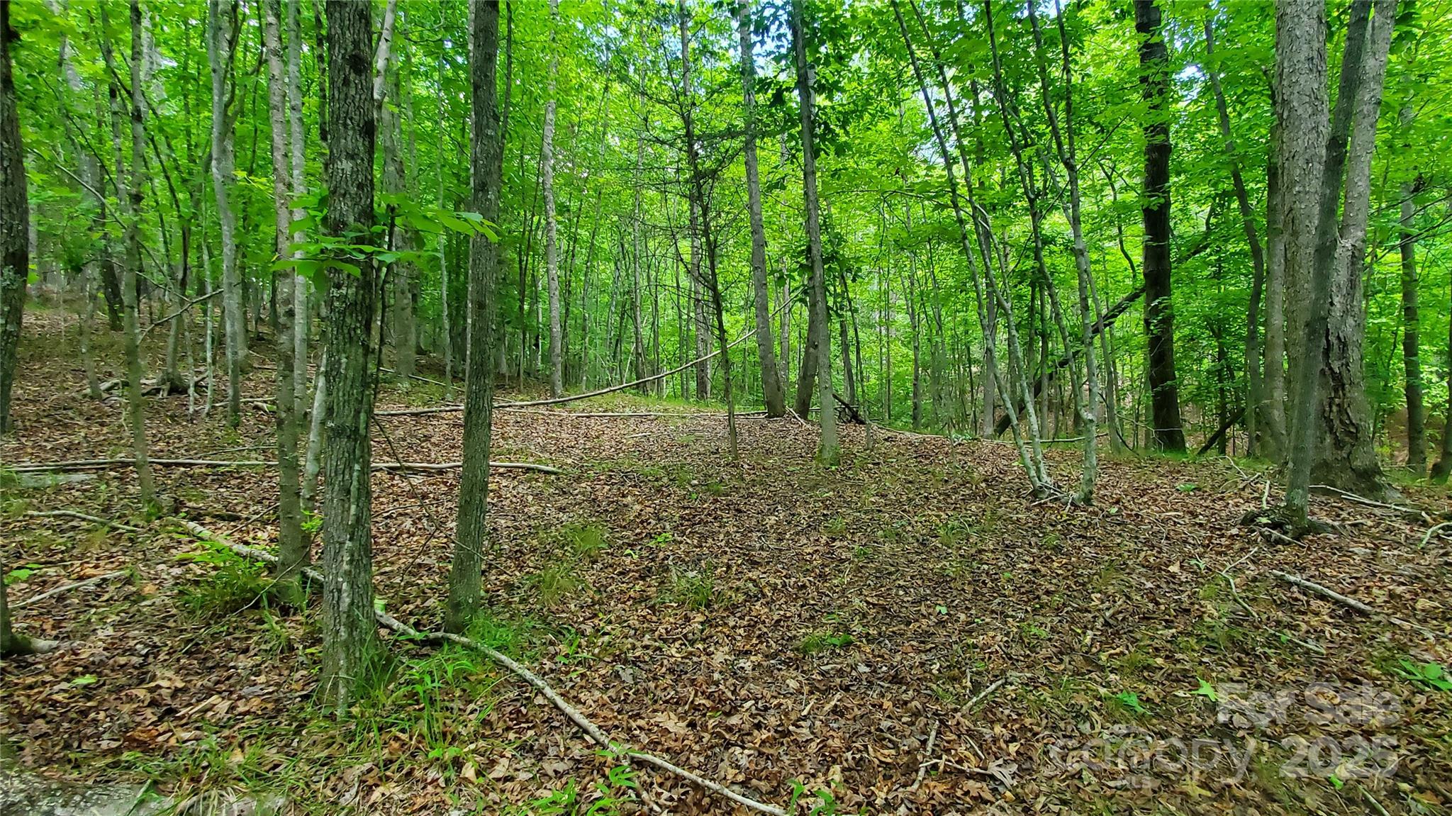 Equestrian Estates - Land