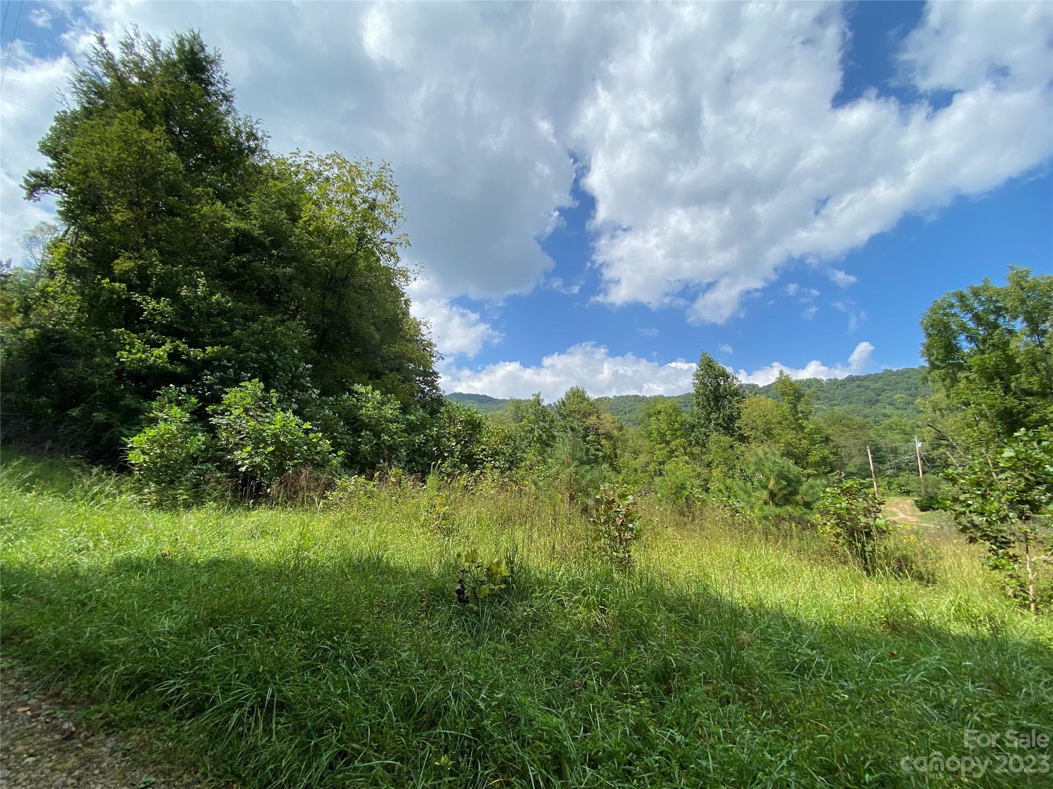 00000 Screech Owl Drive