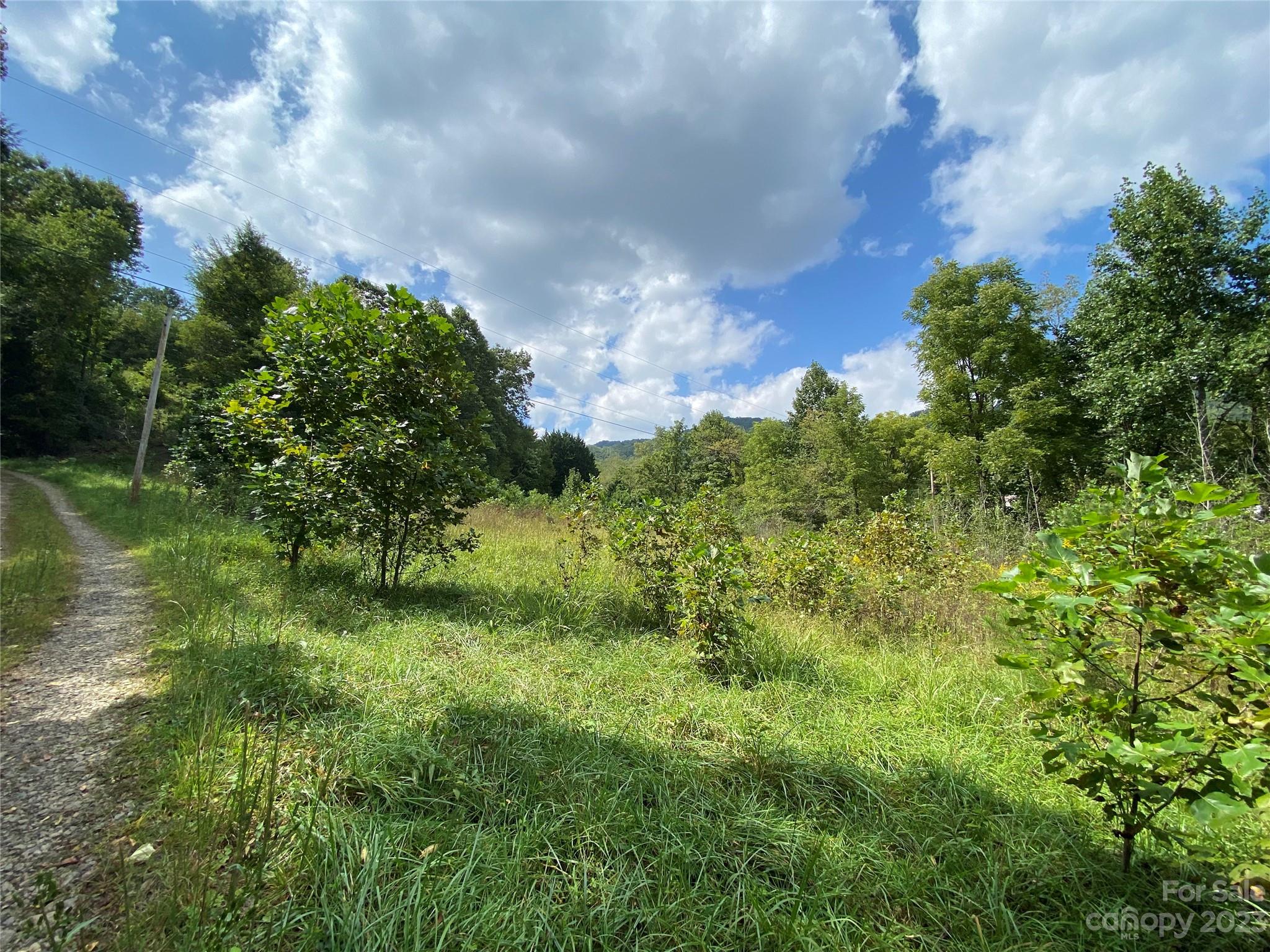 00000 Screech Owl Drive