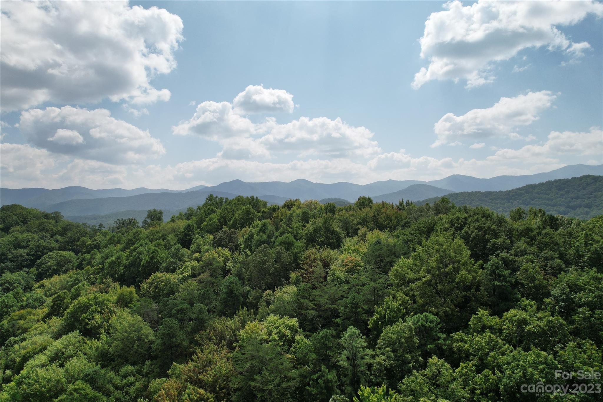 00000 Screech Owl Drive