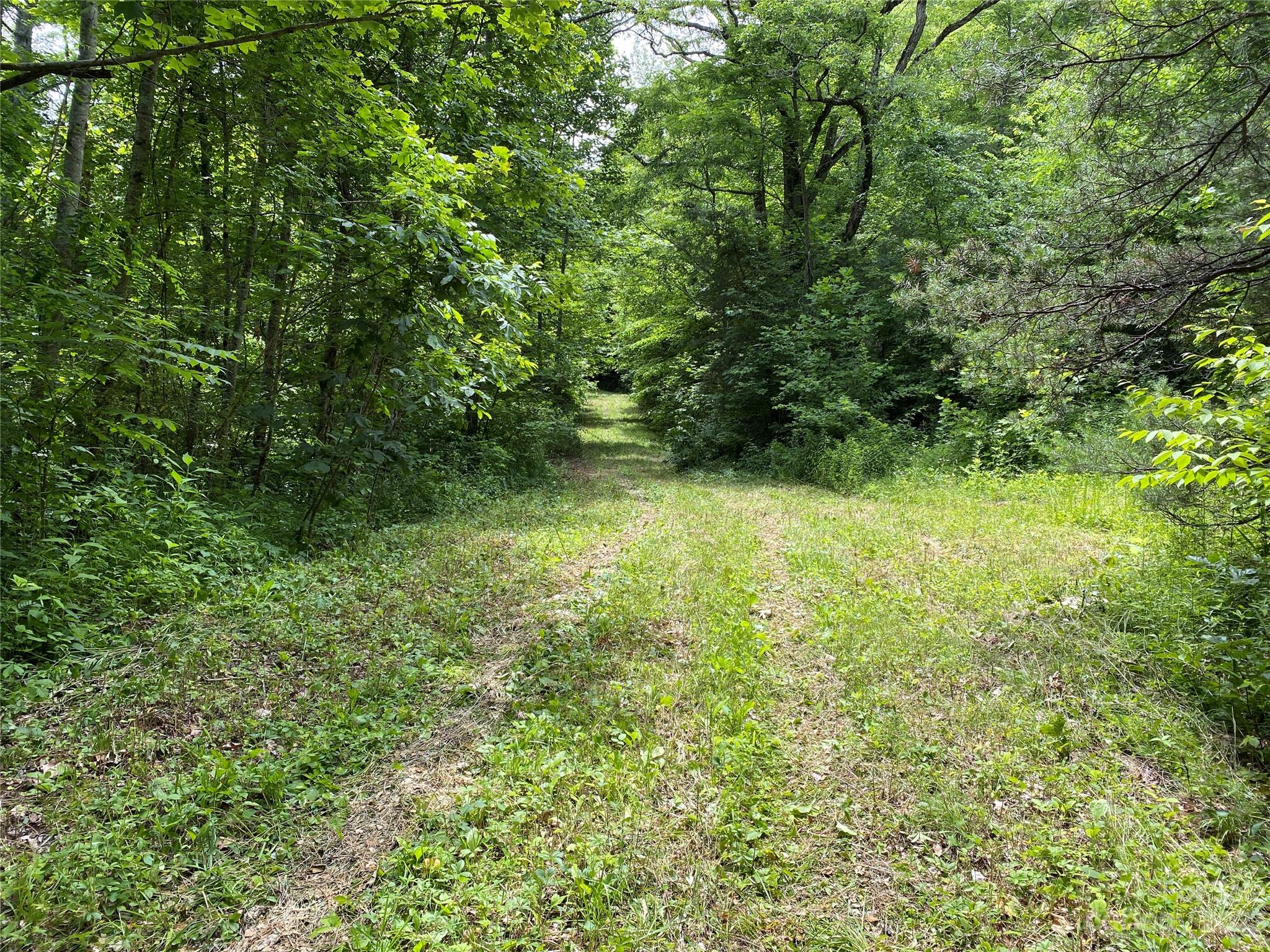 TBD Moody Bridge Road 2 & 3