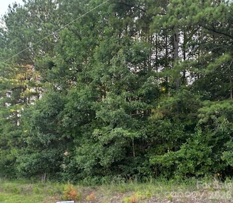 Photo of Lot 2 Mathis Church Road, Catawba, NC 28609 (MLS # 4404166)